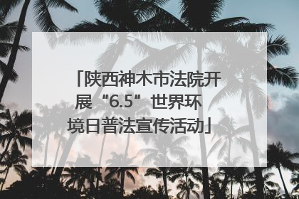 陕西神木市法院开展“6.5”世界环境日普法宣传活动