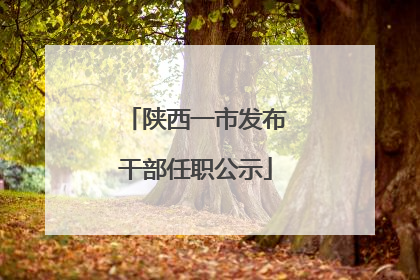 陕西一市发布干部任职公示