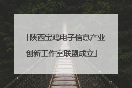 陕西宝鸡电子信息产业创新工作室联盟成立