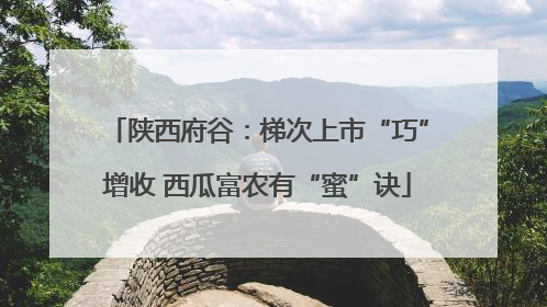 陕西府谷：梯次上市“巧”增收 西瓜富农有“蜜”诀