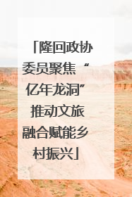 隆回政协委员聚焦“亿年龙洞” 推动文旅融合赋能乡村振兴