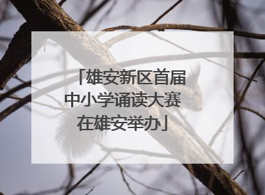雄安新区首届中小学诵读大赛在雄安举办