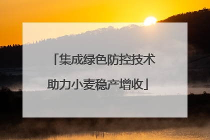 集成绿色防控技术助力小麦稳产增收