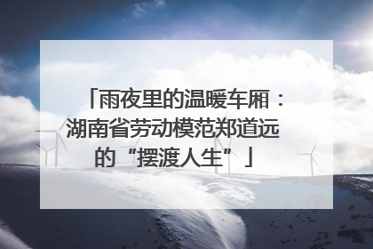 雨夜里的温暖车厢：湖南省劳动模范郑道远的“摆渡人生”