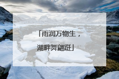 雨润万物生，湖畔舞翩跹