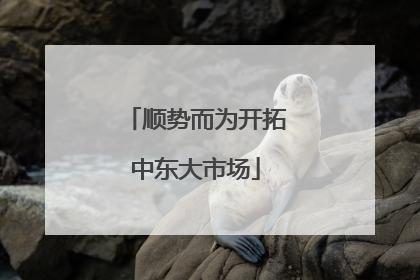 顺势而为开拓中东大市场