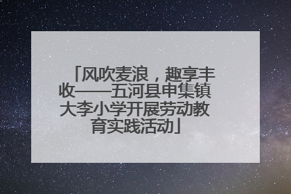 风吹麦浪，趣享丰收——五河县申集镇大李小学开展劳动教育实践活动