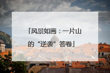 风景如画：一片山的“逆袭”答卷