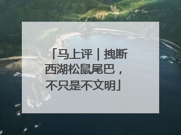 马上评｜拽断西湖松鼠尾巴，不只是不文明