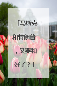 马斯克和特朗普，又要和好了？