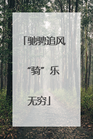 驰骋追风 “骑”乐无穷