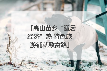 高山苗乡“避暑经济”热 特色旅游铺就致富路