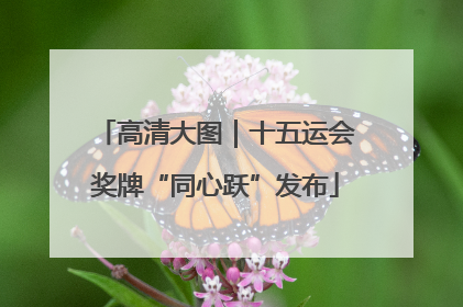 高清大图｜十五运会奖牌“同心跃”发布