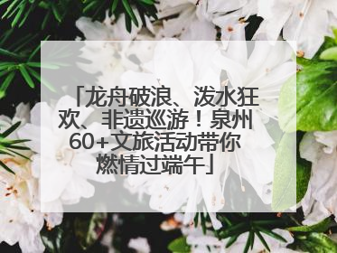 龙舟破浪、泼水狂欢、非遗巡游！泉州60+文旅活动带你燃情过端午