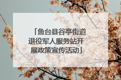 鱼台县谷亭街道退役军人服务站开展政策宣传活动