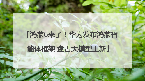 鸿蒙6来了！华为发布鸿蒙智能体框架 盘古大模型上新