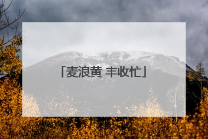 麦浪黄 丰收忙