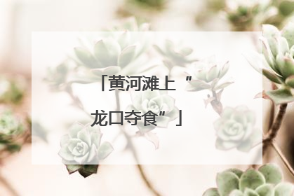 黄河滩上“龙口夺食”
