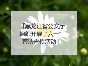 黑龙江省公安厅组织开展“六一”普法宣传活动