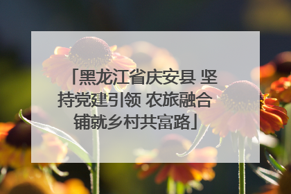 黑龙江省庆安县 坚持党建引领 农旅融合铺就乡村共富路