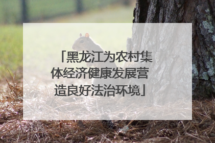 黑龙江为农村集体经济健康发展营造良好法治环境