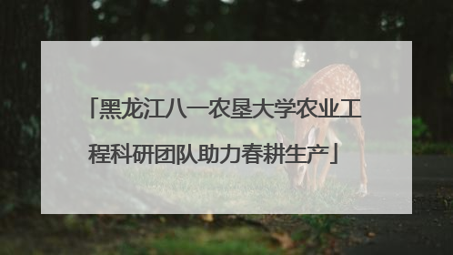 黑龙江八一农垦大学农业工程科研团队助力春耕生产