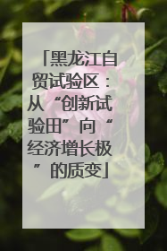 黑龙江自贸试验区：从“创新试验田”向“经济增长极”的质变