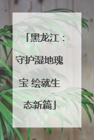黑龙江：守护湿地瑰宝 绘就生态新篇
