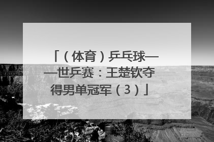 （体育）乒乓球——世乒赛：王楚钦夺得男单冠军（3）