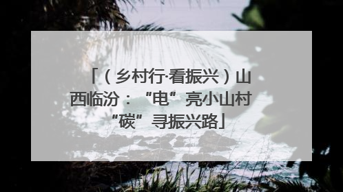 （乡村行·看振兴）山西临汾：“电”亮小山村 “碳”寻振兴路