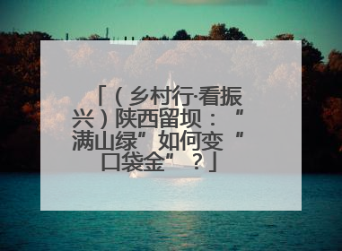 （乡村行·看振兴）陕西留坝：“满山绿”如何变“口袋金”？