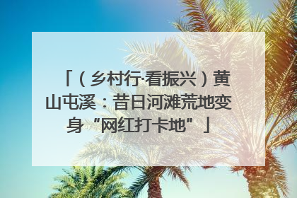 （乡村行·看振兴）黄山屯溪：昔日河滩荒地变身“网红打卡地”