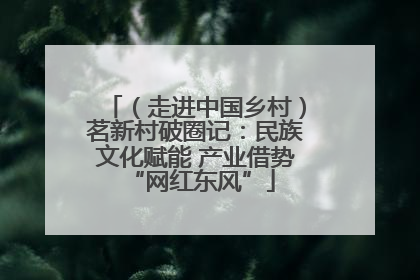 （走进中国乡村）茗新村破圈记：民族文化赋能 产业借势 “网红东风”