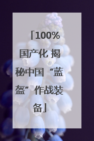 100%国产化 揭秘中国“蓝盔”作战装备