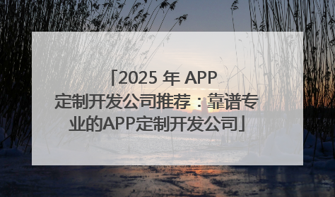 2025 年 APP 定制开发公司推荐：靠谱专业的APP定制开发公司