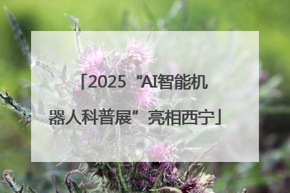 2025“AI智能机器人科普展”亮相西宁
