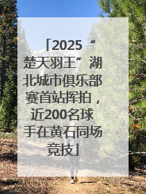 2025“楚天羽王”湖北城市俱乐部赛首站挥拍，近200名球手在黄石同场竞技