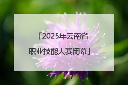 2025年云南省职业技能大赛闭幕