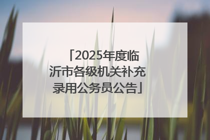 2025年度临沂市各级机关补充录用公务员公告