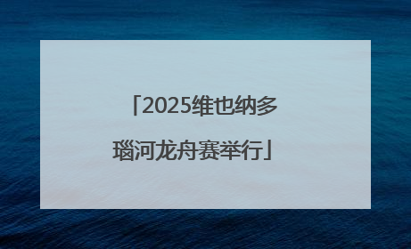 2025维也纳多瑙河龙舟赛举行
