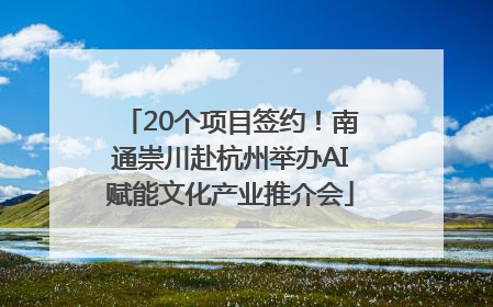 20个项目签约！南通崇川赴杭州举办AI赋能文化产业推介会