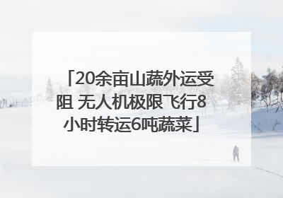 20余亩山蔬外运受阻 无人机极限飞行8小时转运6吨蔬菜