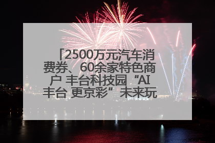 2500万元汽车消费券、60余家特色商户 丰台科技园“AI丰台 更京彩”未来玩家市集活动正式开幕