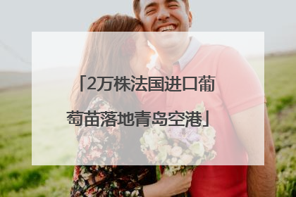 2万株法国进口葡萄苗落地青岛空港