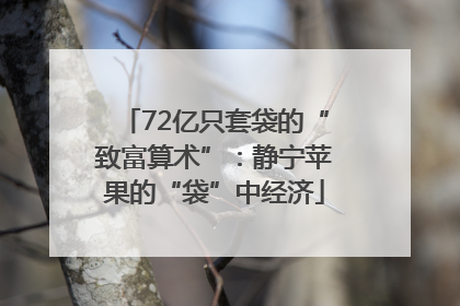 72亿只套袋的“致富算术”：静宁苹果的“袋”中经济