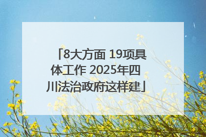 8大方面 19项具体工作 2025年四川法治政府这样建