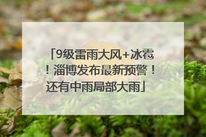 9级雷雨大风+冰雹！淄博发布最新预警！还有中雨局部大雨