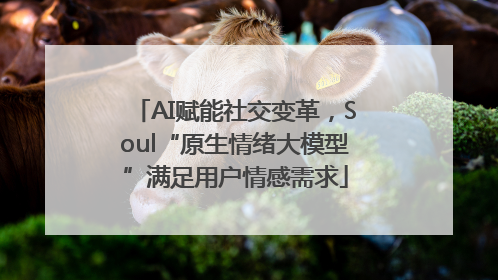 AI赋能社交变革，Soul“原生情绪大模型”满足用户情感需求