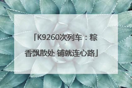 K9260次列车：粽香飘散处 铺就连心路