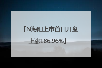N海阳上市首日开盘上涨186.96%